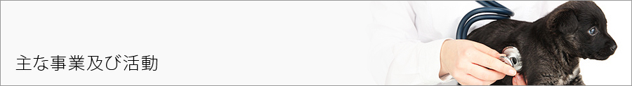 主な事業及び活動