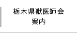 栃木県獣医師会案内