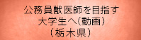 公務員獣医師を目指す大学生へ