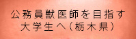 公務員獣医師を目指す大学生へ