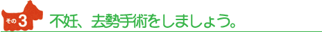 不妊、去勢手術をしましょう