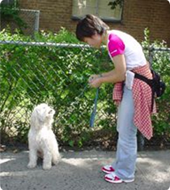 栃木県獣医師会