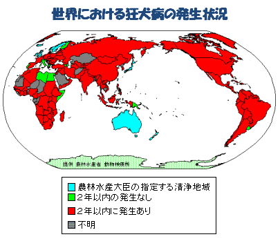 犬・猫の感染病とその予防