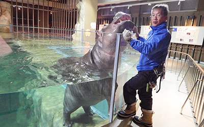 旭山動物園園長　坂東　元　先生