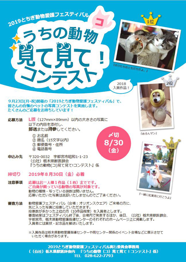 うちの動物見て見て！コンテスト